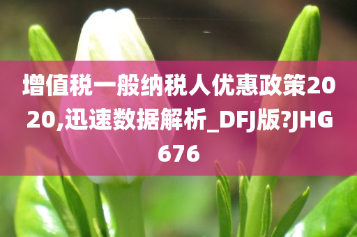 增值税一般纳税人优惠政策2020,迅速数据解析_DFJ版?JHG676