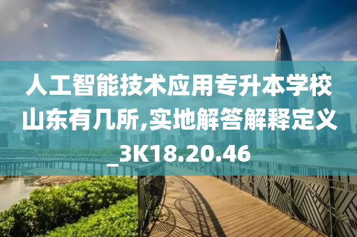 人工智能技术应用专升本学校山东有几所,实地解答解释定义_3K18.20.46