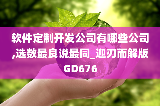 软件定制开发公司有哪些公司,选数最良说最同_迎刃而解版GD676