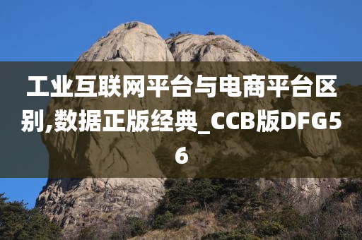 工业互联网平台与电商平台区别,数据正版经典_CCB版DFG56