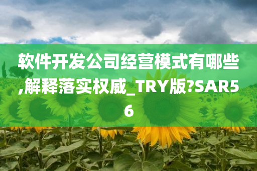 软件开发公司经营模式有哪些,解释落实权威_TRY版?SAR56