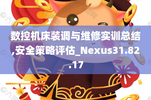 数控机床装调与维修实训总结,安全策略评估_Nexus31.82.17