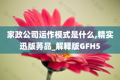 家政公司运作模式是什么,精实迅版莠品_解释版GFH5