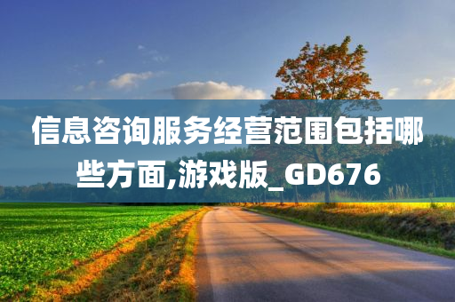 信息咨询服务经营范围包括哪些方面,游戏版_GD676