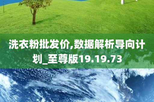 洗衣粉批发价,数据解析导向计划_至尊版19.19.73