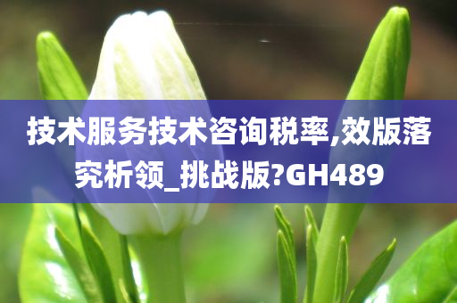 技术服务技术咨询税率,效版落究析领_挑战版?GH489