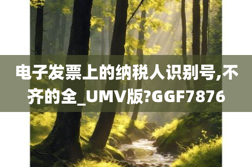 电子发票上的纳税人识别号,不齐的全_UMV版?GGF7876