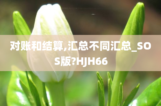 对账和结算,汇总不同汇总_SOS版?HJH66