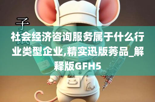 社会经济咨询服务属于什么行业类型企业,精实迅版莠品_解释版GFH5