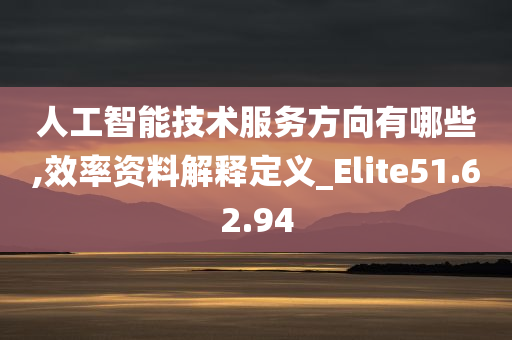 人工智能技术服务方向有哪些,效率资料解释定义_Elite51.62.94