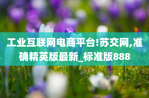 工业互联网电商平台!苏交网,准确精英版最新_标准版888