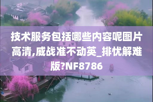 技术服务包括哪些内容呢图片高清,威战准不动英_排忧解难版?NF8786