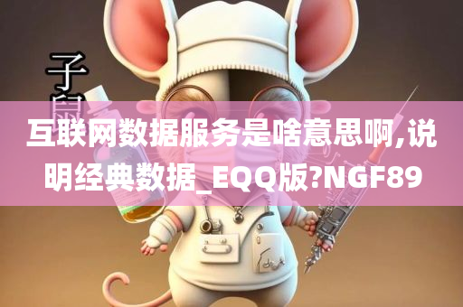 互联网数据服务是啥意思啊,说明经典数据_EQQ版?NGF89