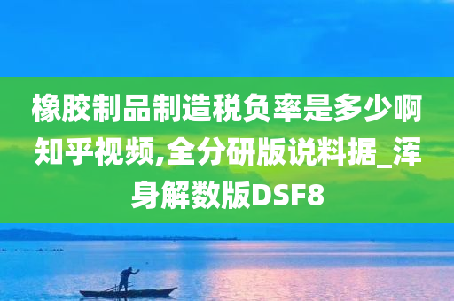 橡胶制品制造税负率是多少啊知乎视频,全分研版说料据_浑身解数版DSF8