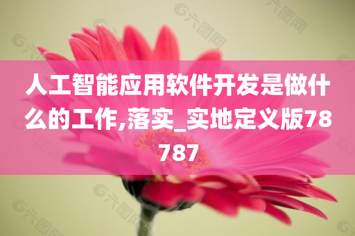 人工智能应用软件开发是做什么的工作,落实_实地定义版78787