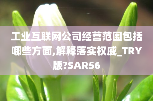 工业互联网公司经营范围包括哪些方面,解释落实权威_TRY版?SAR56