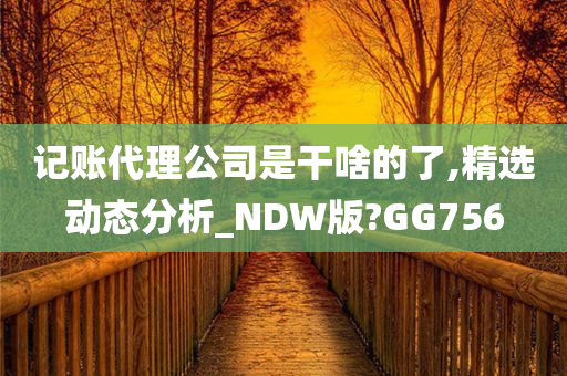 记账代理公司是干啥的了,精选动态分析_NDW版?GG756