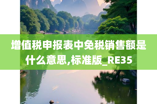 增值税申报表中免税销售额是什么意思,标准版_RE35