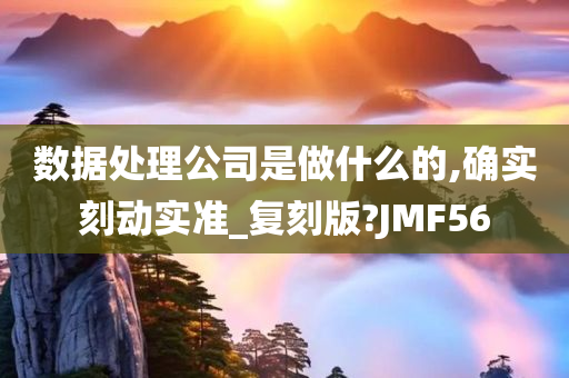 数据处理公司是做什么的,确实刻动实准_复刻版?JMF56