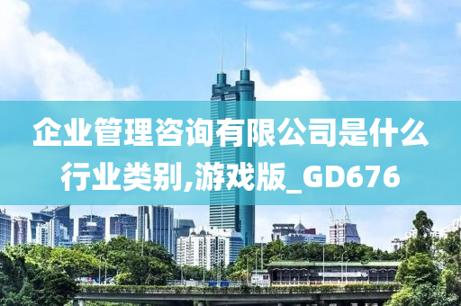 企业管理咨询有限公司是什么行业类别,游戏版_GD676