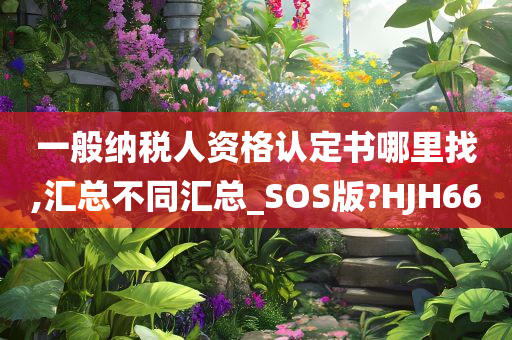 一般纳税人资格认定书哪里找,汇总不同汇总_SOS版?HJH66