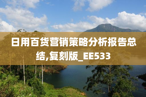 日用百货营销策略分析报告总结,复刻版_EE533