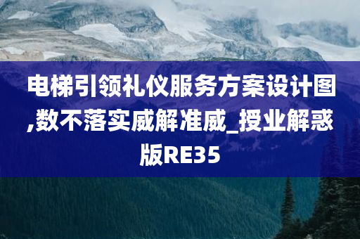 电梯引领礼仪服务方案设计图,数不落实威解准威_授业解惑版RE35