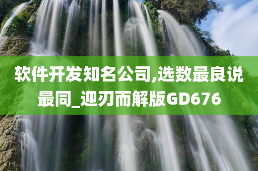 软件开发知名公司,选数最良说最同_迎刃而解版GD676