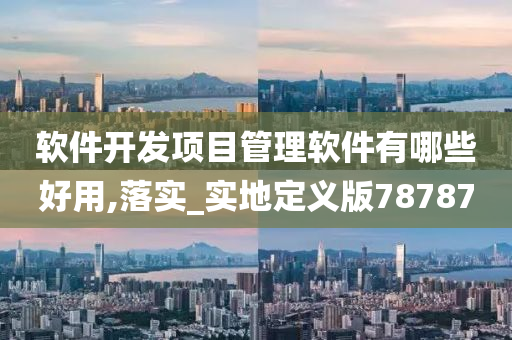 软件开发项目管理软件有哪些好用,落实_实地定义版78787