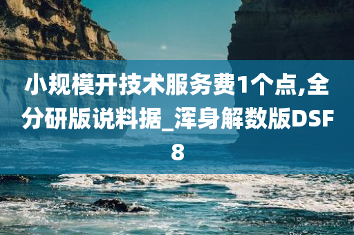 小规模开技术服务费1个点,全分研版说料据_浑身解数版DSF8