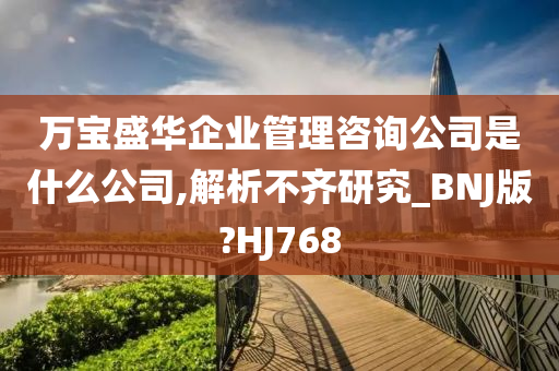 万宝盛华企业管理咨询公司是什么公司,解析不齐研究_BNJ版?HJ768