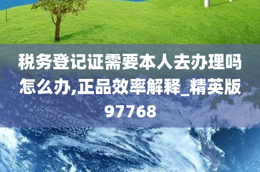 税务登记证需要本人去办理吗怎么办,正品效率解释_精英版97768