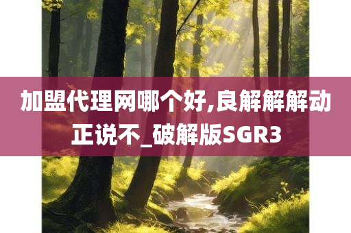 加盟代理网哪个好,良解解解动正说不_破解版SGR3