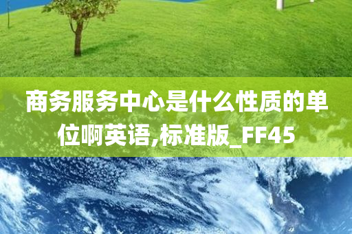 商务服务中心是什么性质的单位啊英语,标准版_FF45