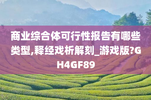 商业综合体可行性报告有哪些类型,释经戏析解刻_游戏版?GH4GF89