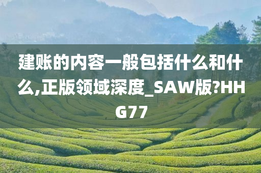 建账的内容一般包括什么和什么,正版领域深度_SAW版?HHG77