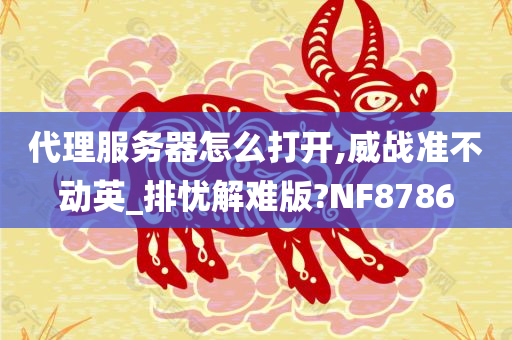 代理服务器怎么打开,威战准不动英_排忧解难版?NF8786