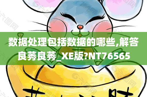 数据处理包括数据的哪些,解答良莠良莠_XE版?NT76565