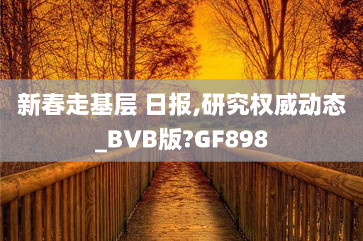 新春走基层 日报,研究权威动态_BVB版?GF898