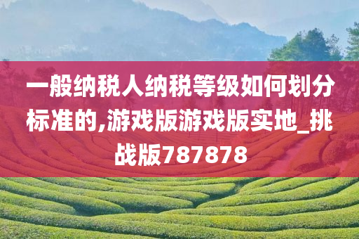 一般纳税人纳税等级如何划分标准的,游戏版游戏版实地_挑战版787878