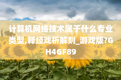 计算机网络技术属于什么专业类型,释经戏析解刻_游戏版?GH4GF89