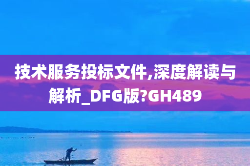 技术服务投标文件,深度解读与解析_DFG版?GH489