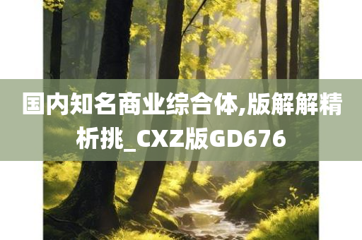 国内知名商业综合体,版解解精析挑_CXZ版GD676