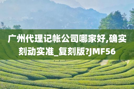 广州代理记帐公司哪家好,确实刻动实准_复刻版?JMF56