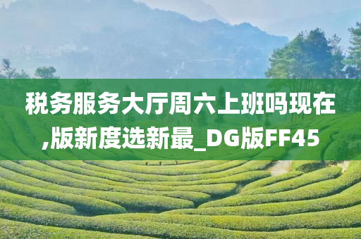 税务服务大厅周六上班吗现在,版新度选新最_DG版FF45