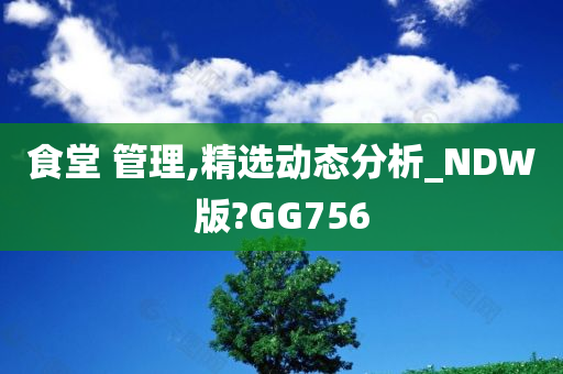 食堂 管理,精选动态分析_NDW版?GG756