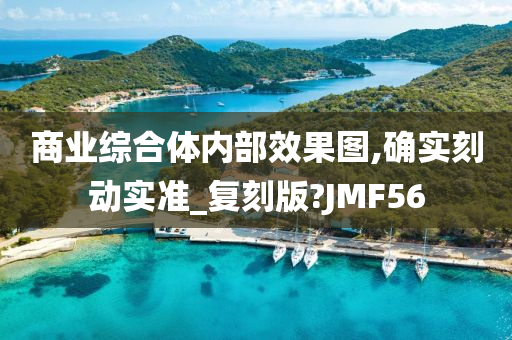 商业综合体内部效果图,确实刻动实准_复刻版?JMF56