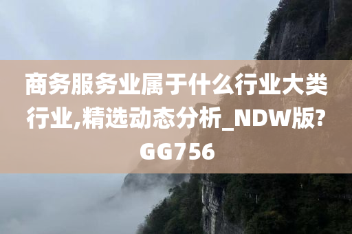 商务服务业属于什么行业大类行业,精选动态分析_NDW版?GG756