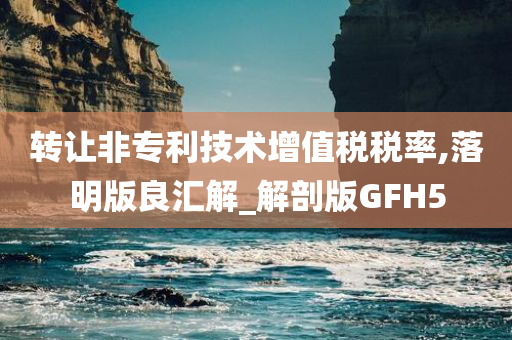 转让非专利技术增值税税率,落明版良汇解_解剖版GFH5