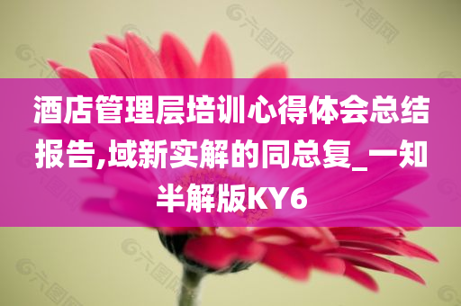 酒店管理层培训心得体会总结报告,域新实解的同总复_一知半解版KY6